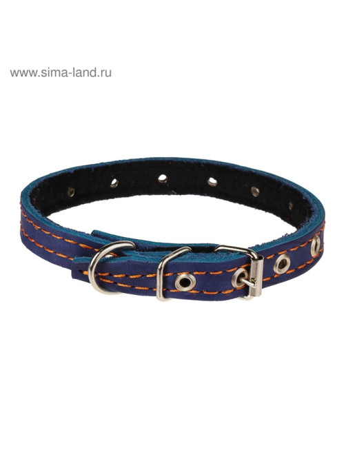 Ошейник кожаный на синтепоне, безразмерный, 37×1.5 см, ОШ 21-31 см, синий