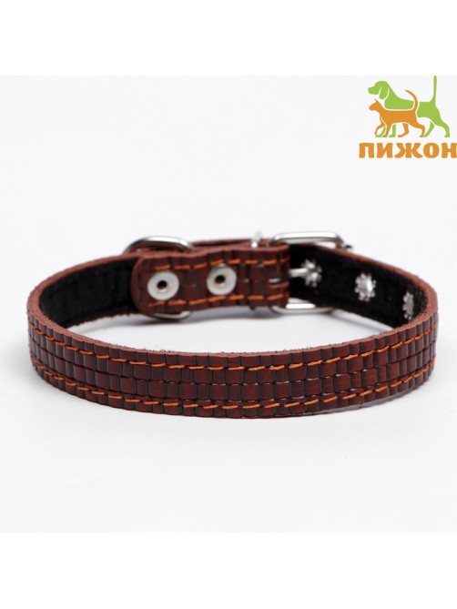 Ошейник кожаный с тиснением на синтепоне, 46×2 см, ОШ 25-35 см, коричневый