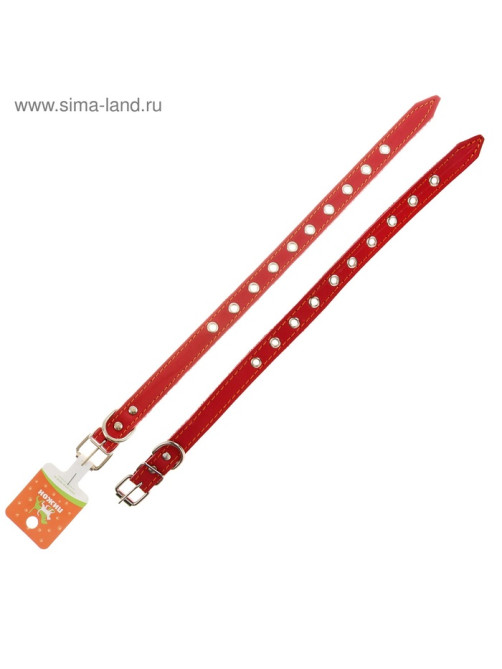 Ошейник кожаный однослойный безразмерный, 45×2 см, ОШ 18-39 см, красный