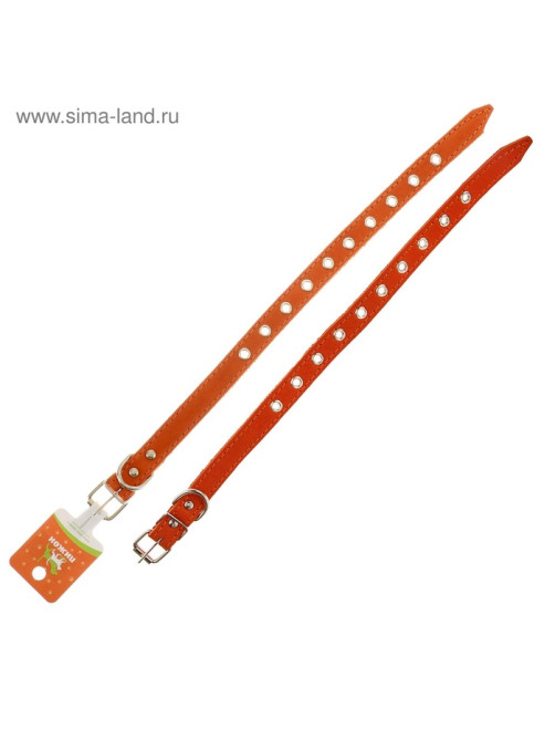 Ошейник кожаный однослойный безразмерный, 45×2 см, ОШ 18-39 см, коричневый