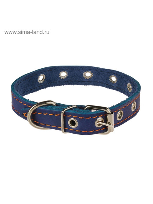 Ошейник однослойный безразмерный, 45×2 см, ОШ 18-39 см, кожа, синий