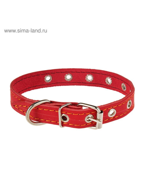 Ошейник кожаный однослойный безразмерный, 45×2 см, ОШ 18-39 см, красный