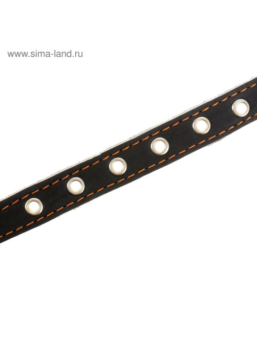 Ошейник однослойный безразмерный, 45×2 см, ОШ 18-39 см, кожа, синий