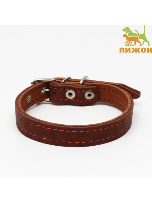 Ошейник кожаный двухслойный, 46×2 см, ОШ 25-35 см, коричневый