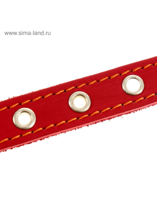 Ошейник кожаный однослойный безразмерный, 45×2 см, ОШ 18-39 см, красный
