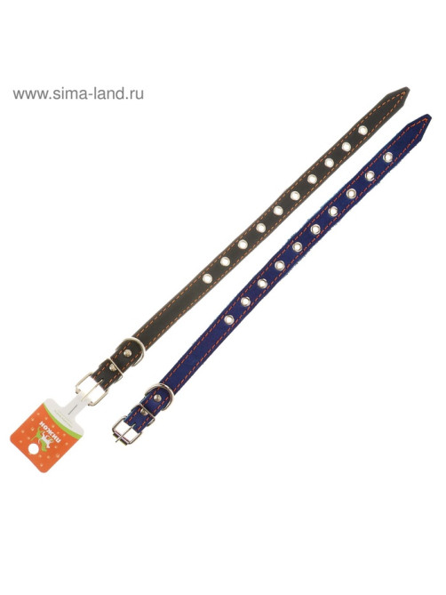 Ошейник однослойный безразмерный, 45×2 см, ОШ 18-39 см, кожа, синий