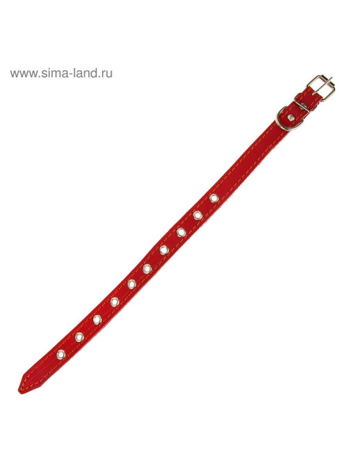 Ошейник кожаный однослойный безразмерный, 45×2 см, ОШ 18-39 см, красный