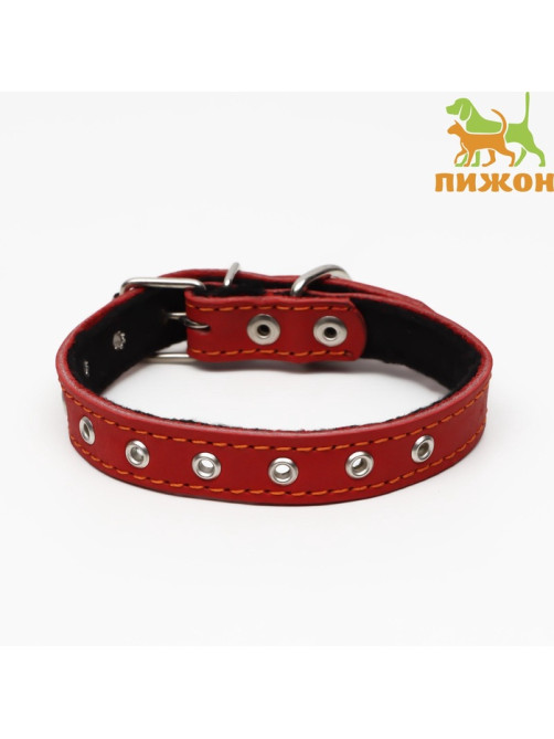 Ошейник кожаный на синтепоне, безразмерный, 45×2 см, ОШ 18-39 см, красный
