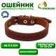 Ошейник кожаный двухслойный, 46×2 см, ОШ 25-35 см, коричневый