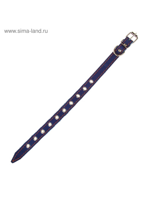 Ошейник однослойный безразмерный, 45×2 см, ОШ 18-39 см, кожа, синий