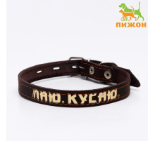Ошейник кожаный однослойный, тиснёный «Лаю. Кусаю», 48×2, ОШ 32-43 см, коричневый с золотом