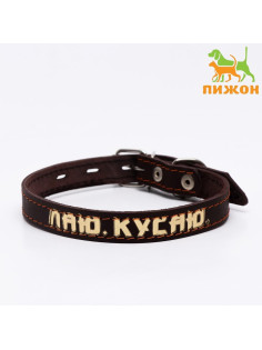 Ошейник кожаный однослойный, тиснёный «Лаю. Кусаю», 48×2, ОШ 32-43 см, коричневый с золотом