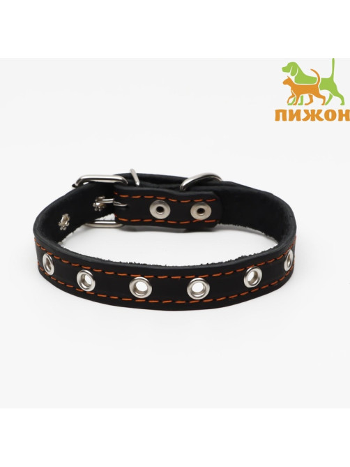Ошейник кожаный однослойный безразмерный, 45×2 см, ОШ 18-39 см, чёрный