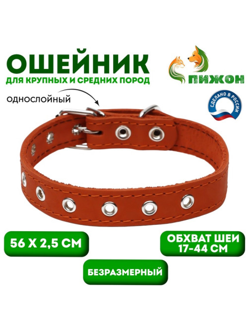 Ошейник однослойный, безразмерный, 56×2.5 см, ОШ 17-44 см, кожа, оранжевый