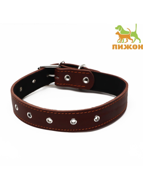 Ошейник кожаный на синтепоне, безразмерный, 71×3.5 см, ОШ 29-62 см, коричневый