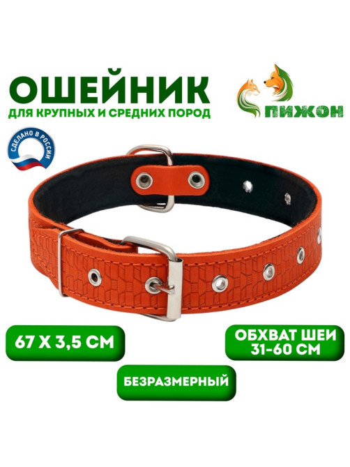 Ошейник тиснёный, 67×3.5 см, ОШ 31-60 см, на фетре, безразмерный, кожа, оранжевый