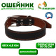 Ошейник двухслойный, 85×4.5 см, ОШ 50-70 см, кожа, чёрный