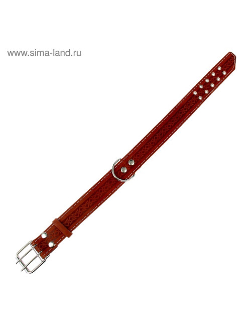 Ошейник однослойный, 73×4.5 см, ОШ 51-65 см, кожа, МИКС