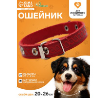 Ошейник, 1.2 см, ОШ 20-26 см, однослойный, неукрашенный, цвет и вид МИКС