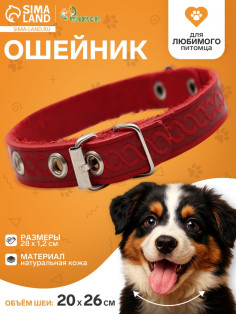 Ошейник, 1.2 см, ОШ 20-26 см, однослойный, неукрашенный, цвет и вид МИКС