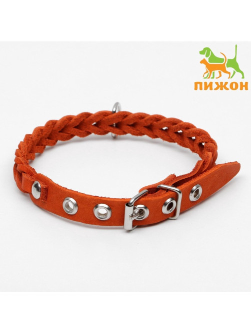 Ошейник, 1.2×36 см, ОШ 20-30 см, плетёный, кожа, оранжевый