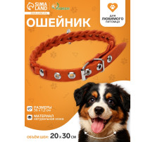 Ошейник, 1.2×36 см, ОШ 20-30 см, плетёный, кожа, оранжевый
