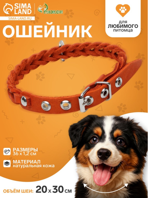 Ошейник, 1.2×36 см, ОШ 20-30 см, плетёный, кожа, оранжевый