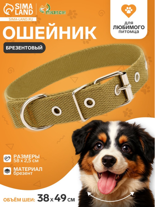 Брезентовый ошейник, 58×2.5 см, однослойный, цвет песочный