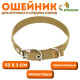 Брезентовый ошейник, 52×2 см, однослойный, цвет песочный