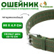 Ошейник четырехслойный, 80×4.9 см, ОШ 65-75 см, полиэстер, зелёный