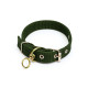 Ошейник двухслойный с вертлюгом, 2.5 см, зелёный