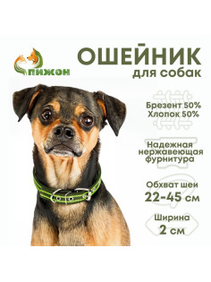 Ошейник брезентовый двухслойный, безразмерный, 50×2 см, ОШ 22-45 см, хаки, зелёный
