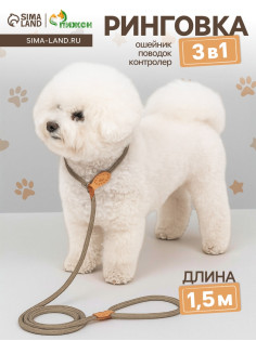 Ринговка для собак, 150×0.6 см, бежевая