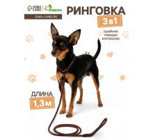 Ринговка для собак, 130×0.6 см, коричневая