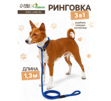 Ринговка для собак, 130×0.8 см, синяя