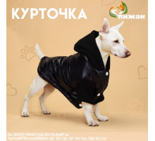 Куртка для собак «Спорт» с капюшоном, размер M, чёрная