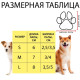 Носки нескользящие «Улыбка», размер М (3/4×7.5 см), набор 4 шт., зелёные