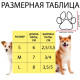 Носки нескользящие «Люблю косточки», M (3/4×7.5 см), набор 4 шт.