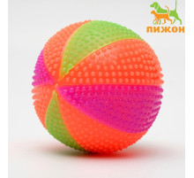 Мяч для собак «Цирковой», 6.5 см, светящийся, TPR, цвет МИКС