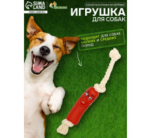 Игрушка для собак «Сосиска в очках на верёвке», 14 см, винил, красная