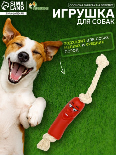 Игрушка для собак «Сосиска в очках на верёвке», 14 см, винил, красная
