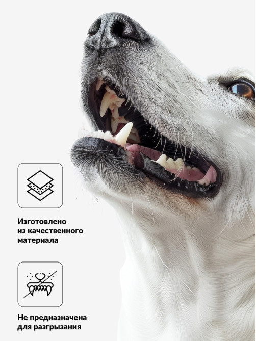Игрушка для собак «Смайлы», 6 см, пищащая, винил, рисунок МИКС