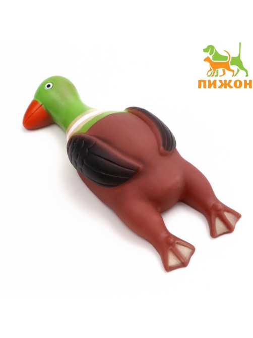 Игрушка пищащая «Скромная утка» для собак, 18×7×4 см, коричневая