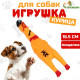 Игрушка пищащая «Курица пират» для собак, 16.5 см, жёлтая