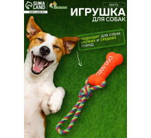 Игрушка для собак «Кость», 14 см, резиновая, с ручкой из каната, до 37 см, цвет МИКС