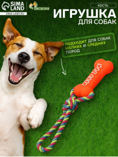 Игрушка для собак «Кость», 14 см, резиновая, с ручкой из каната, до 37 см, цвет МИКС