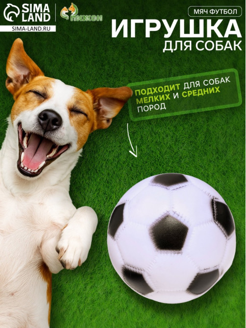 Игрушка для собак «Мяч Футбол», 6.2 см, пищащая, винил, белая