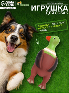 Игрушка пищащая «Скромная утка» для собак, 18×7×4 см, коричневая