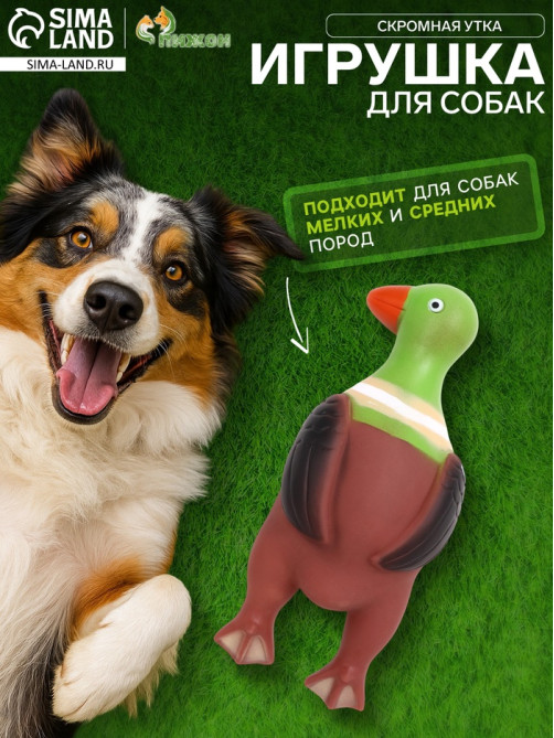 Игрушка пищащая «Скромная утка» для собак, 18×7×4 см, коричневая