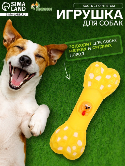 Игрушка для собак «Кость с портретом», 15 см, пищащая, жёлтая